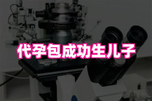 成都助孕网站 1