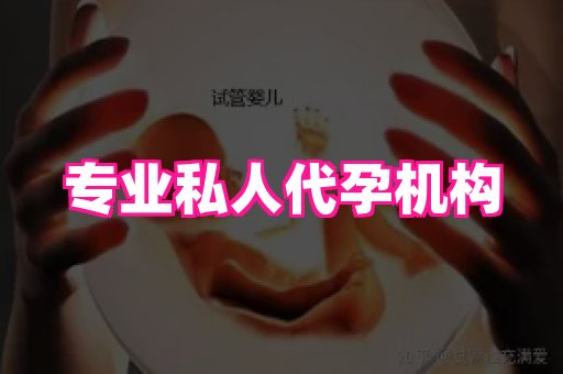 成都助孕网站 2